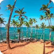 Clémence et Arnaud trip