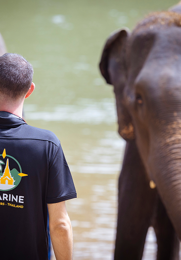 Guide Safarine avec éléphant