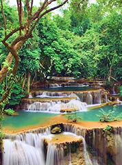 Villa avec piscine tropicale